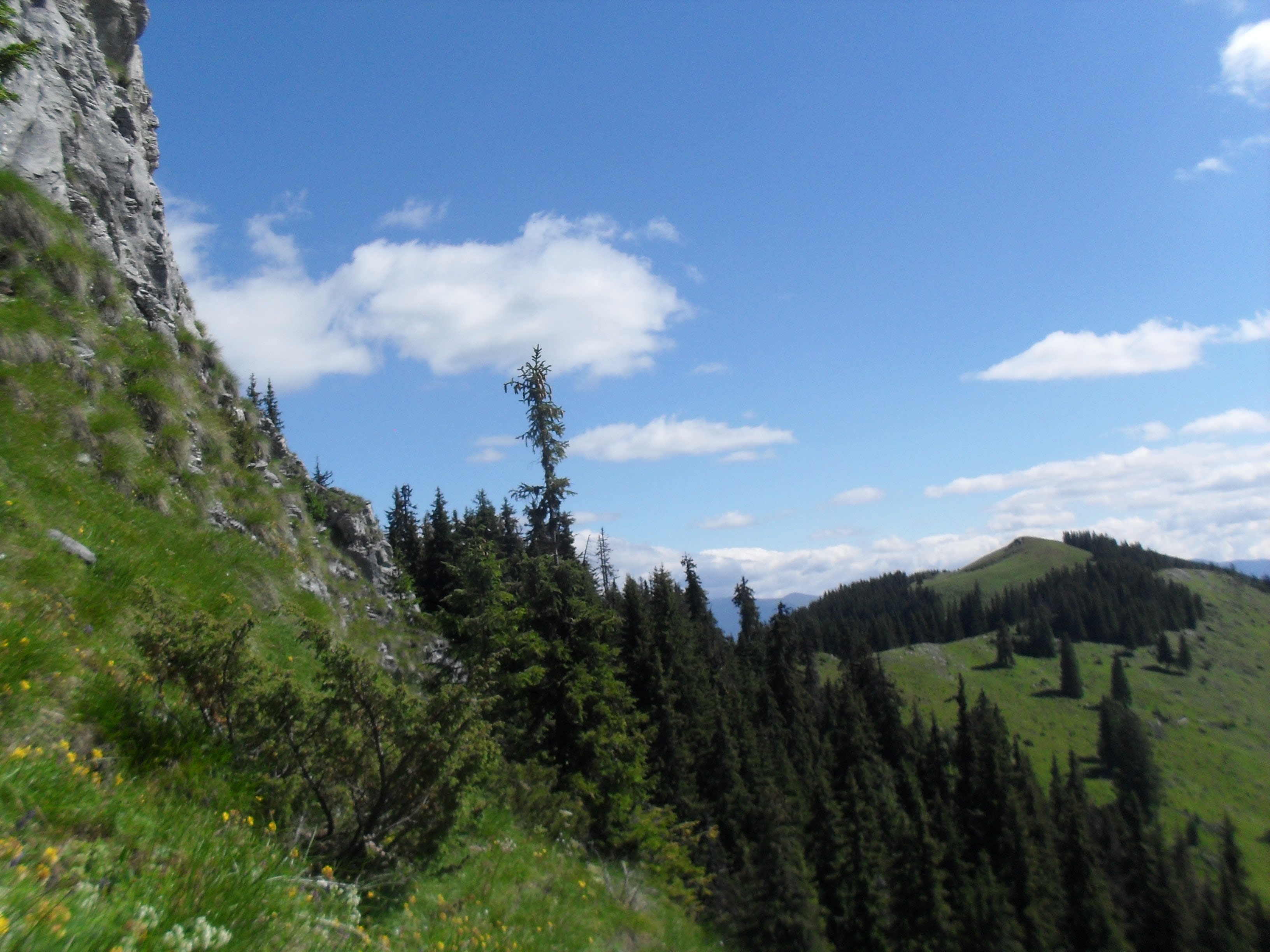 Se vede Tarnovul Mic.